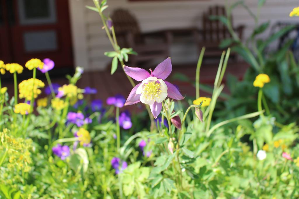 Willa Cristiana Guesthaus Crested Butte Zewnętrze zdjęcie